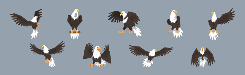 Eagle or Vulture Predatory Bird of Prey Vector Set