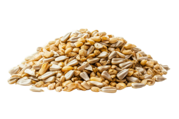 Close Up of Sunflower Seeds and Bird Seed