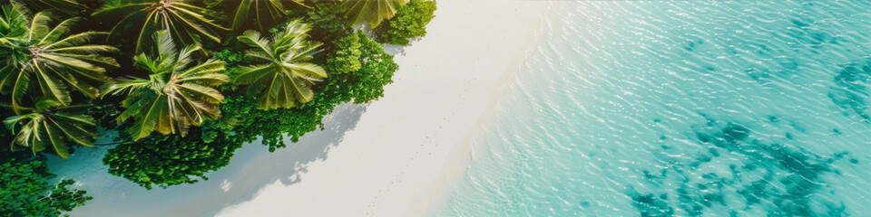 Obraz premium palm trees reflected in water