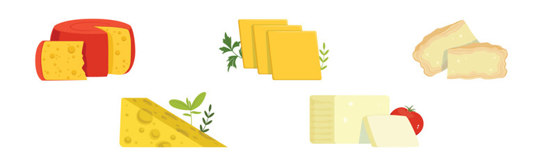 Different Cheese Type as Dairy Product Vector Set