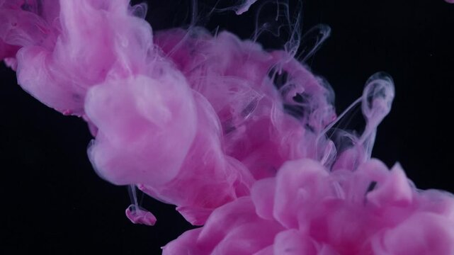 colourful pink and purple ink in water like clouds of smoke with a black background