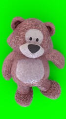 silicone teddy bear with green background