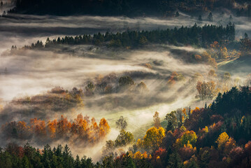 Jesienne kolory © Izabela&Grzegorz