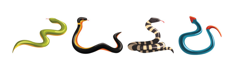 Fototapeta premium Venomous Snake and Serpent of Different Type Vector Set