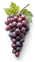 Fototapeta premium Fresh purple grapes with green leaves on a white background for healthy lifestyle promotion