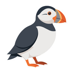 Illustration of Atlantic Puffin Isolated on white