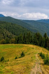 Obraz premium Grassy meadow with lush woods and mountains in the background under a cloudy sky