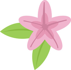 Simple icon of a pink flower with five petals blooming with green leaves