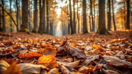 Soft focus image of a forest floor with fallen leaves and branches in shades of brown and gray, soft focus, wall art, woods