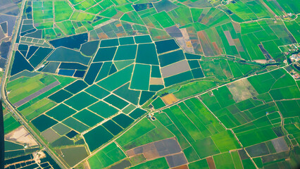 Aerial view Green paddy rice terrace land. Aerial drone shots summer tropical in summertime on sunny day amazing landscape. Agriculture rice field above view greenery background natural paddy fields