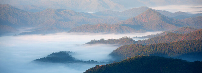 Banner Beautiful Mountain landscape foggy mountain green landscape morning sunrise. Amazing Landscape mountain green tropical forest tree on sunrise. Banner forest sunlight scenery with copy space