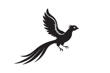 Resplendent Quetzal Silhouette vector illustration, Resplendent Quetzal Silhouette 