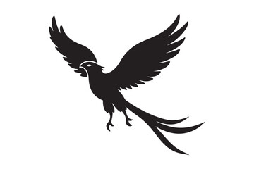 Resplendent Quetzal Silhouette vector illustration, Resplendent Quetzal Silhouette 
