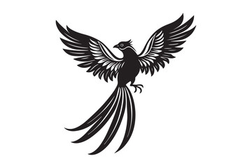 Resplendent Quetzal Silhouette vector illustration, Resplendent Quetzal Silhouette 