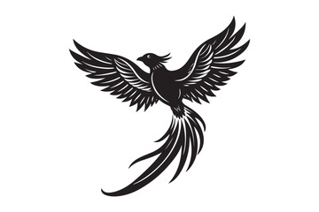 Resplendent Quetzal Silhouette vector illustration, Resplendent Quetzal Silhouette 