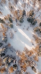 Capture a serene winter forest scene from above, let the AI design magic