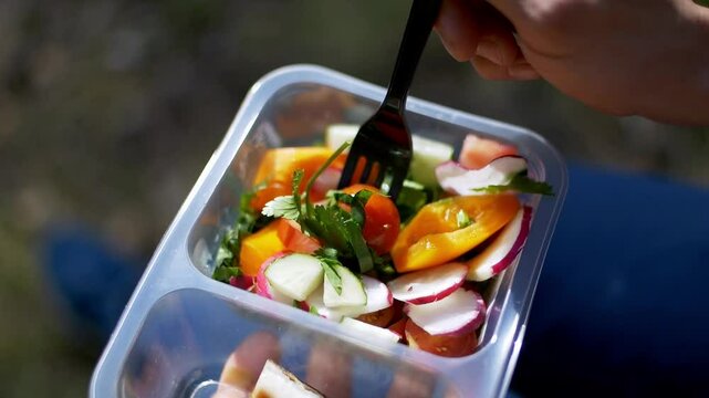fresh vegetable salad packed in a transparent plastic container, ready to eat. colorful vegetables served in a portable plastic box outdoor. Plastic Food Packaging