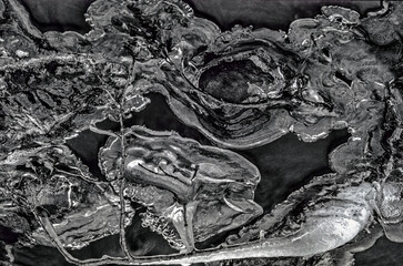 ice in a forest stream