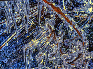 ice in the forest in winter