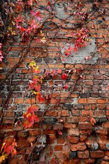 Winobluszcz pięciolistkowy - kolorowe pnącze. Naturalna ozdoba ogrodzeń, płotów, starych murów i  ścian domów © grzegorz