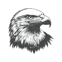 Eagle silhouette
