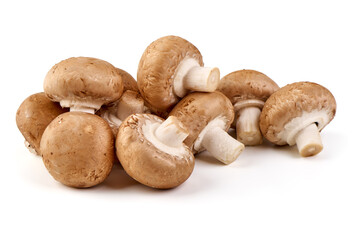 Royal brown champignons, isolated on white background.