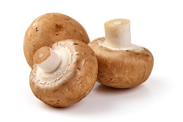 Royal brown champignons, isolated on white background.