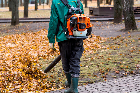 Cleaning. A worker on the street collects leaves in autumn using a blower. The lawn in the park is covered with fallen leaves.