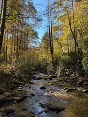 Colorful Fall day in river leaves falling water rushing over rocks fishing nature woods mountains Blue Ridge wildlife