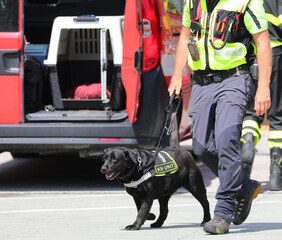 Black dog perfectly trained for finding missing people during search mission