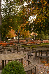 autumn in the urban environment