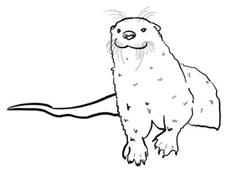 River Otter