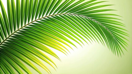 Fototapeta premium tropical green palm leaf frond silhouette background