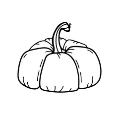 Pumpkin outline doodle illustration. Cozy Autumn element. Change of seasons Vector doodle illustration.