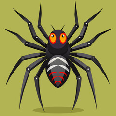 spider on a web