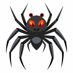 spider isolated on white background