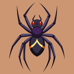 spider in web