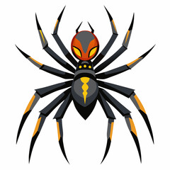 spider on a white background