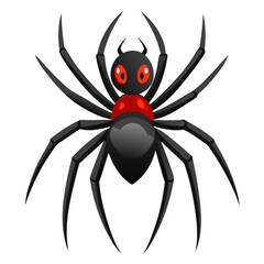 spider on white background