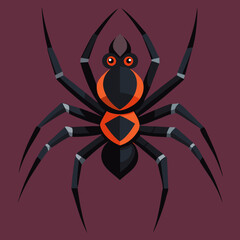 spider on a white background