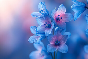 A serene image of delicate blue flowers with subtle pink hues, set against a soft, blurred background, evoking tranquility and beauty.