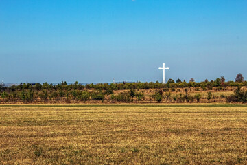 Landscapes - Forest - Europe, Romania, Suceava region