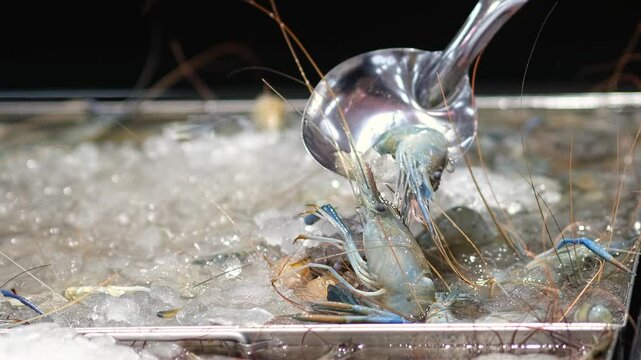 A close-up of fresh royal shrimp or langoustines on a bed of ice, highlighting their vibrant colors and texture. This scene emphasizes the allure of seafood and gourmet dining experiences.