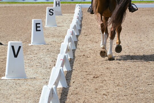 Closeup of a horse's hooves as it makes its way down the fence in a dressage competition.