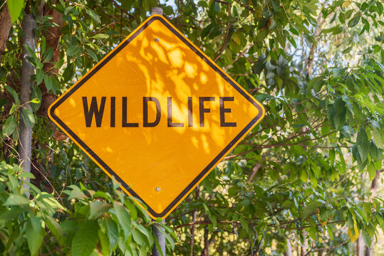 Wildlife warning sign on road on Magnetic Island, Queensland, Australia