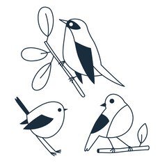 Birds on branches. Vector illustration with geometric birds in nature or zoo or park

