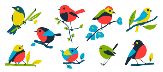 Collection of colored birds. Bright vector illustration with cute birds