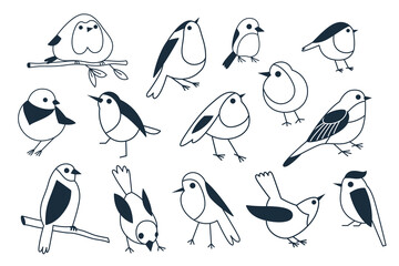 Set of vector linear birds for design, decor and other. Illustrations isolated on white background