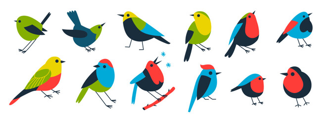 Set of birds in nature, zoo park. Vector illustration in color