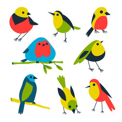 Art set of small birds. Vector color illustration isolated on white background